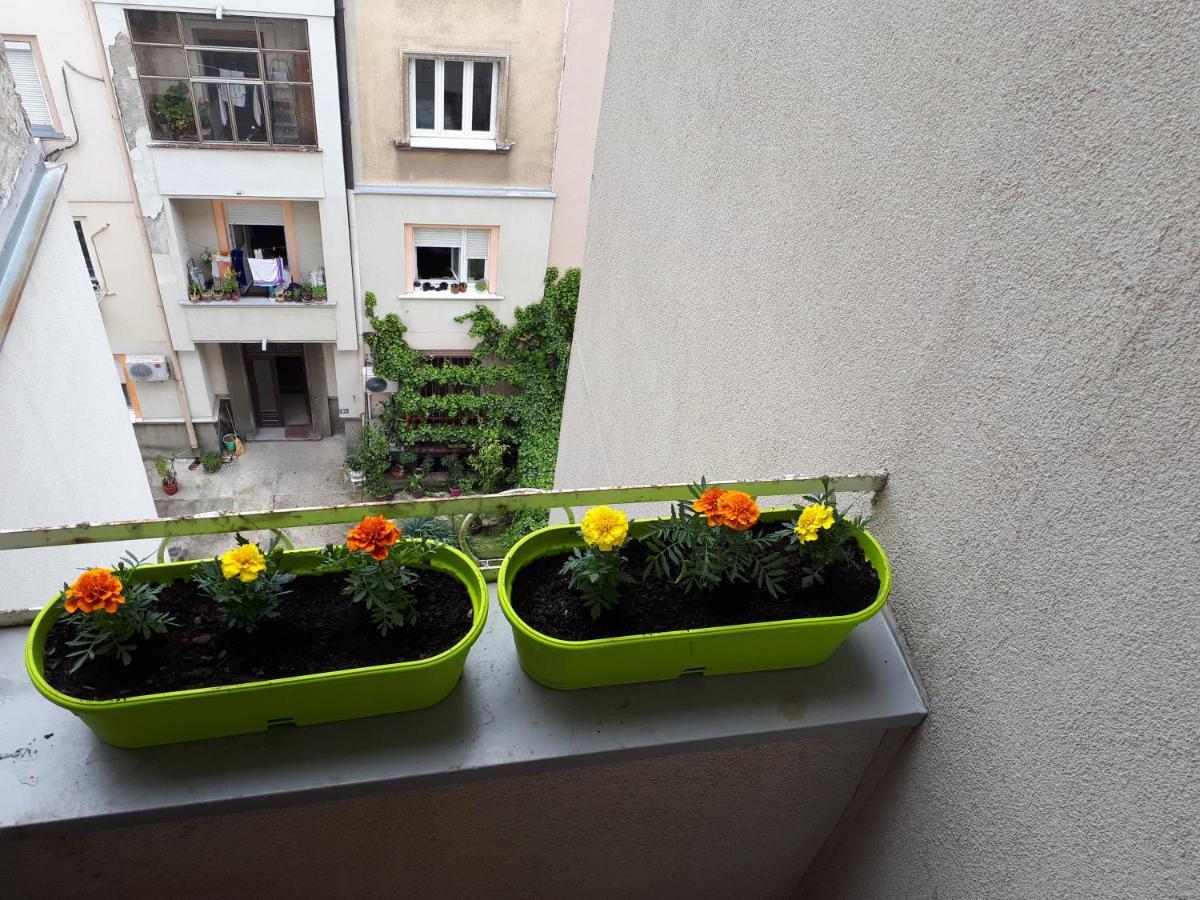 Cozy Hikers Flat Apartment Belgrade