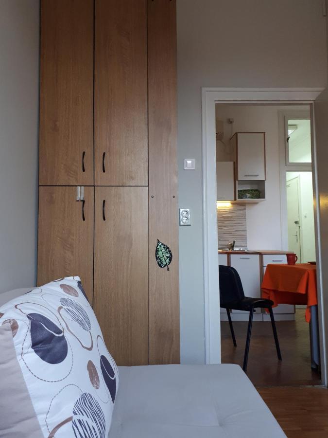 Apartment Cozy Hikers Flat